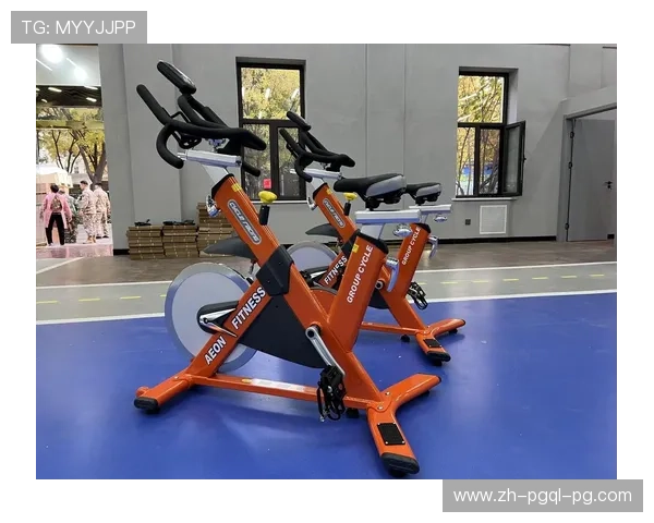 室内专用健身器材种类与价格对比